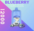 Randm Digital Box 12000 Blueberry on Ice 🫐🧊
