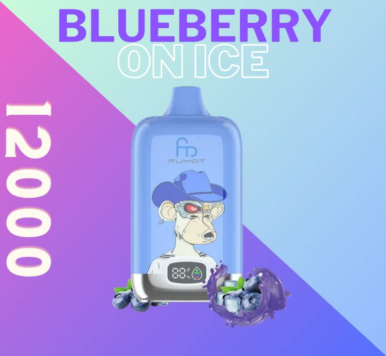 Randm Digital Box 12000 Blueberry on Ice 🫐🧊