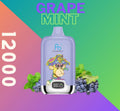 Randm Digital Box 12000 Grape Mint 🍇🌿