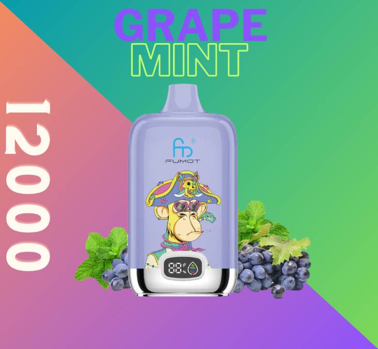 Randm Digital Box 12000 Grape Mint 🍇🌿