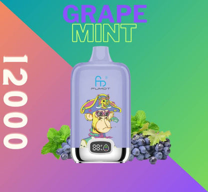 Randm Digital Box 12000 Grape Mint 🍇🌿
